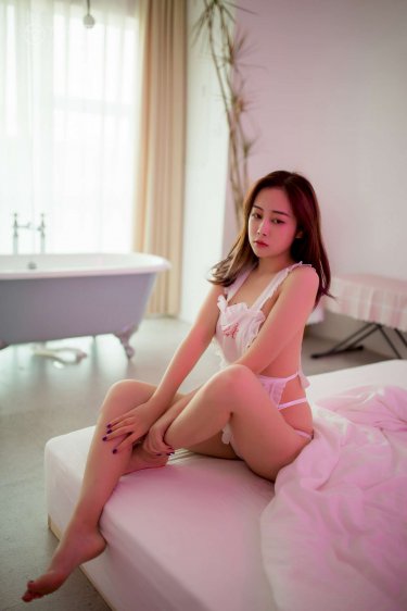 恐龙的介绍